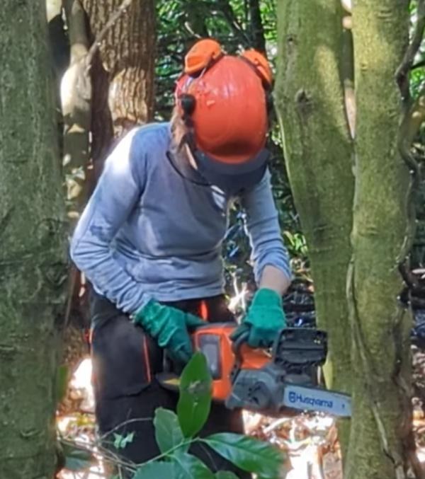 Nicky in an orange safety helmet and gloves, using a chainsaw among the trees of the wood
